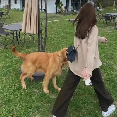 黑暗荣耀第二季